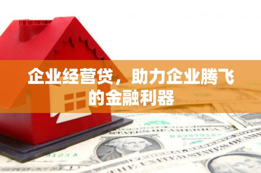 琼中企业经营贷，助力企业腾飞的金融利器