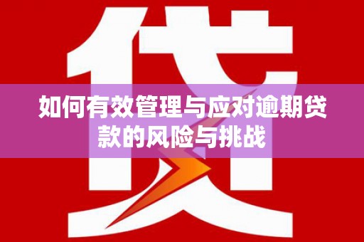 琼中如何有效管理与应对逾期贷款的风险与挑战