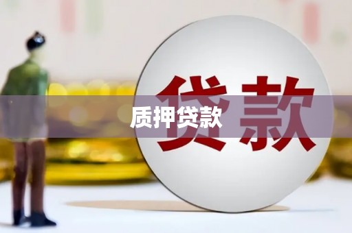 琼中质押贷款