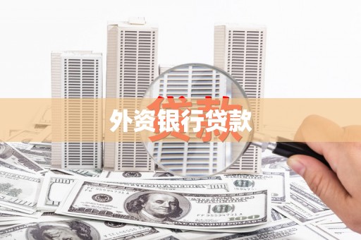 琼中外资银行贷款