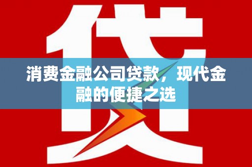琼中消费金融公司贷款，现代金融的便捷之选