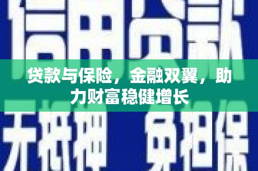 琼中贷款与保险，金融双翼，助力财富稳健增长
