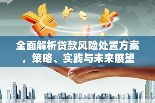 琼中全面解析贷款风险处置方案，策略、实践与未来展望