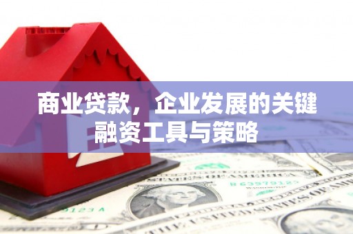 琼中商业贷款，企业发展的关键融资工具与策略