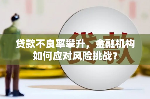 琼中贷款不良率攀升，金融机构如何应对风险挑战？