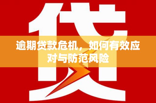 琼中逾期贷款危机，如何有效应对与防范风险
