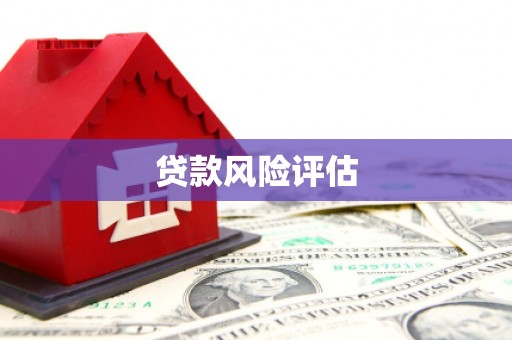 琼中贷款风险评估