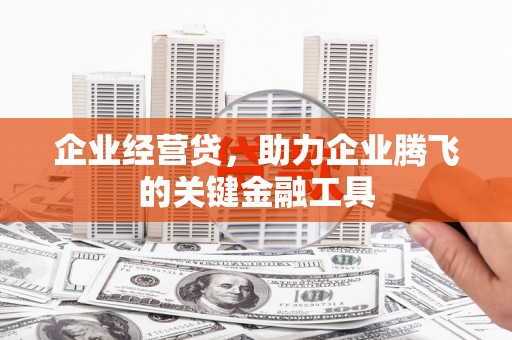 琼中企业经营贷，助力企业腾飞的关键金融工具