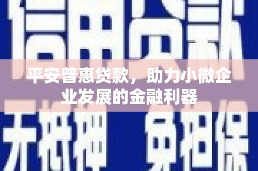 琼中平安普惠贷款，助力小微企业发展的金融利器
