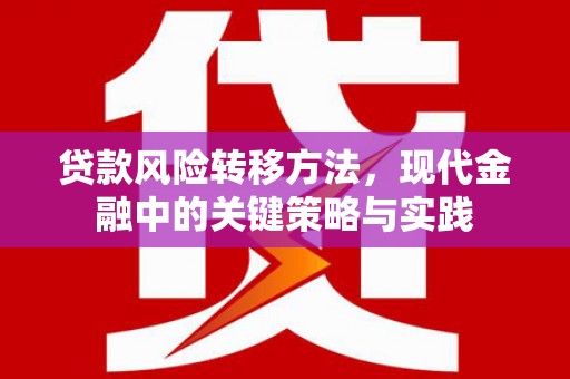 琼中贷款风险转移方法，现代金融中的关键策略与实践