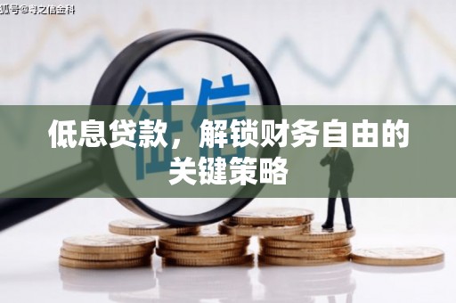 琼中低息贷款，解锁财务自由的关键策略