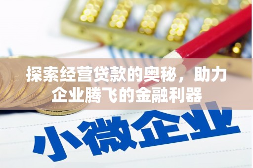 琼中探索经营贷款的奥秘，助力企业腾飞的金融利器