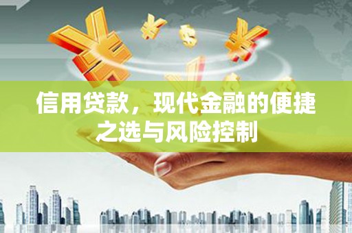琼中信用贷款，现代金融的便捷之选与风险控制