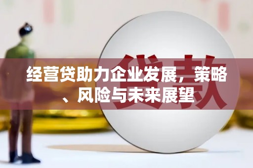 琼中经营贷助力企业发展，策略、风险与未来展望