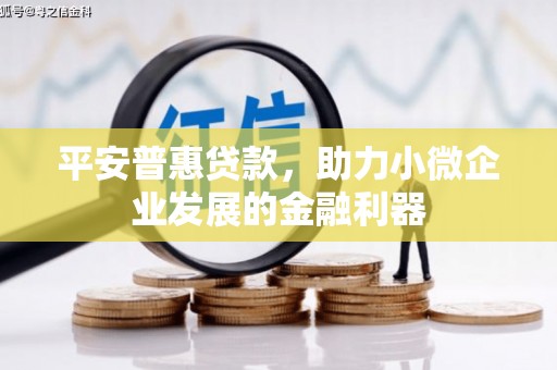 琼中平安普惠贷款，助力小微企业发展的金融利器