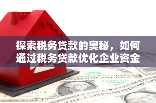 琼中探索税务贷款的奥秘，如何通过税务贷款优化企业资金流
