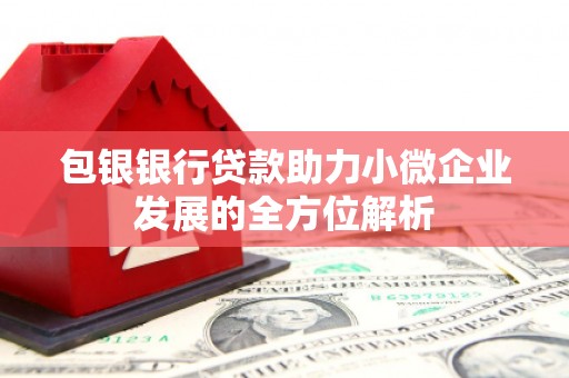 琼中包银银行贷款助力小微企业发展的全方位解析