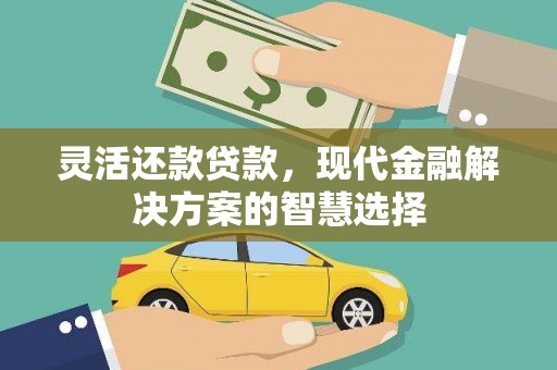 琼中灵活还款贷款，现代金融解决方案的智慧选择