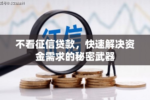 琼中不看征信贷款，快速解决资金需求的秘密武器