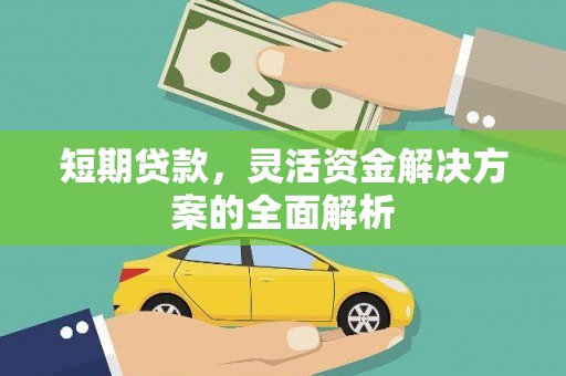 琼中短期贷款，灵活资金解决方案的全面解析