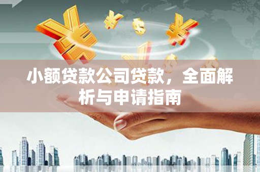 琼中小额贷款公司贷款，全面解析与申请指南