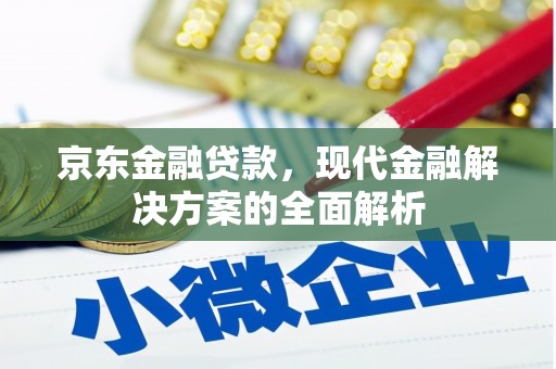 琼中京东金融贷款，现代金融解决方案的全面解析