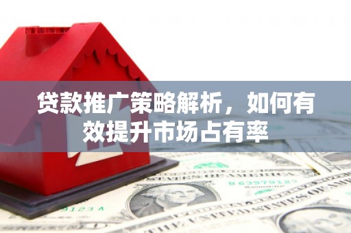 琼中贷款推广策略解析，如何有效提升市场占有率