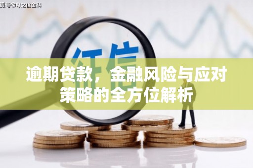 琼中逾期贷款，金融风险与应对策略的全方位解析