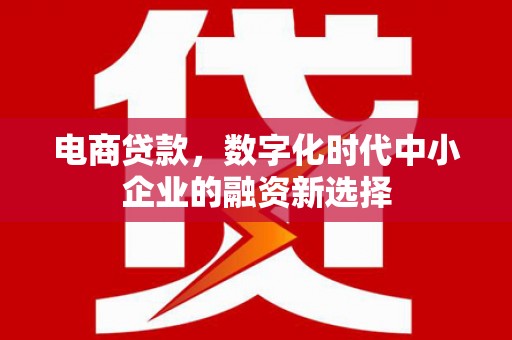 琼中电商贷款，数字化时代中小企业的融资新选择