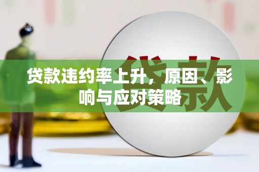 琼中贷款违约率上升，原因、影响与应对策略