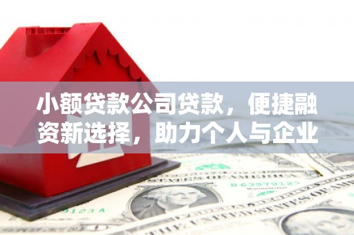 琼中小额贷款公司贷款，便捷融资新选择，助力个人与企业成长