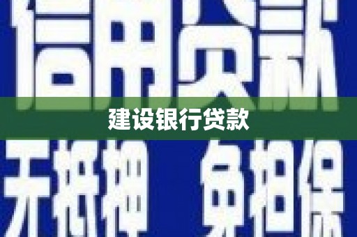 琼中建设银行贷款
