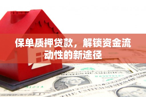 琼中保单质押贷款，解锁资金流动性的新途径