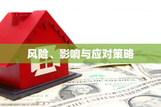 琼中风险、影响与应对策略