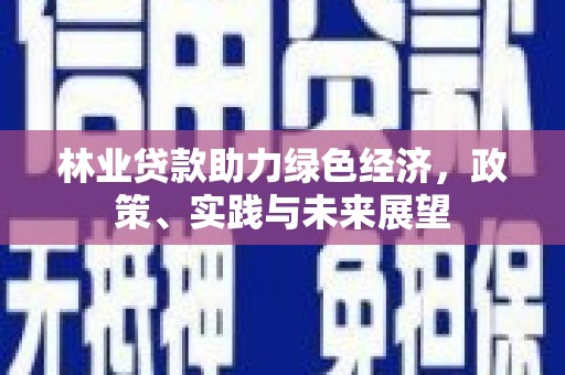 琼中林业贷款助力绿色经济，政策、实践与未来展望
