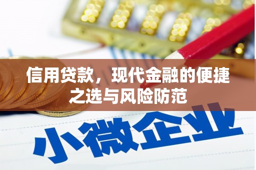琼中信用贷款，现代金融的便捷之选与风险防范
