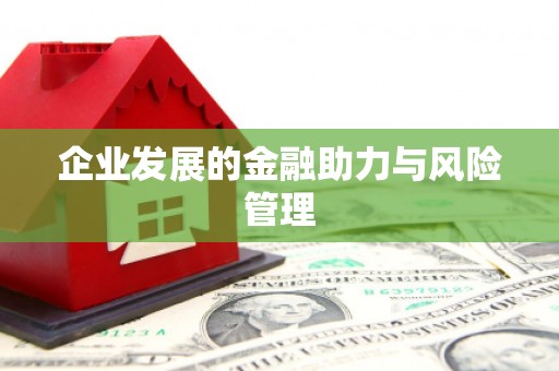 琼中企业发展的金融助力与风险管理