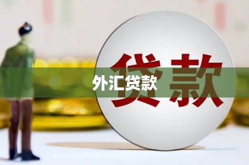 琼中外汇贷款