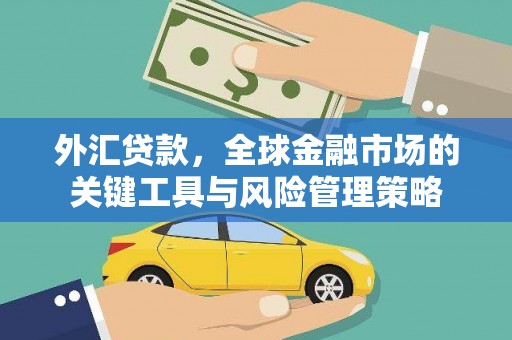 琼中外汇贷款，全球金融市场的关键工具与风险管理策略