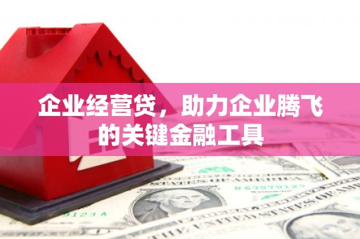 琼中企业经营贷，助力企业腾飞的关键金融工具