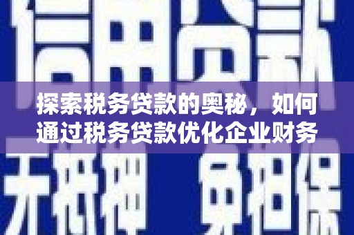 琼中探索税务贷款的奥秘，如何通过税务贷款优化企业财务