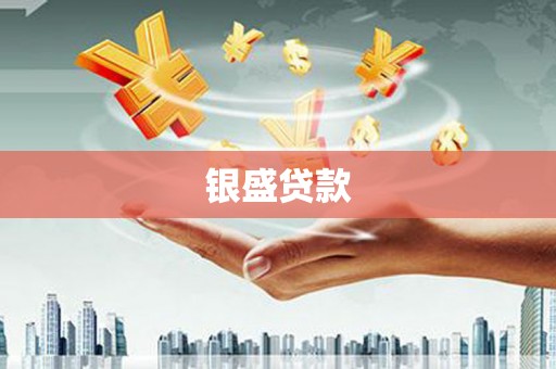 琼中银盛贷款