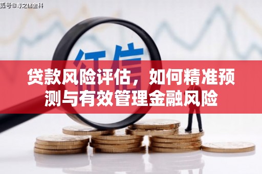 琼中贷款风险评估，如何精准预测与有效管理金融风险