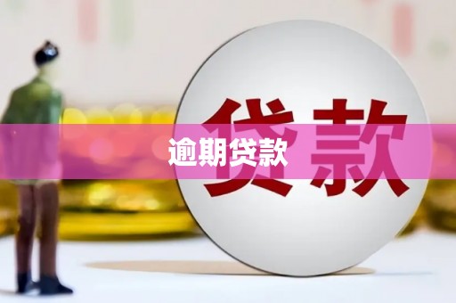琼中逾期贷款