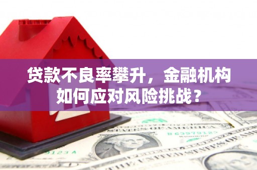 琼中贷款不良率攀升，金融机构如何应对风险挑战？