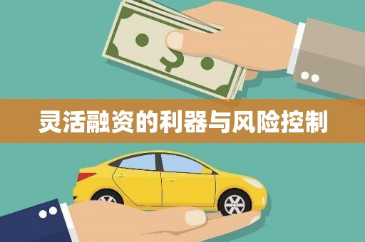 琼中灵活融资的利器与风险控制