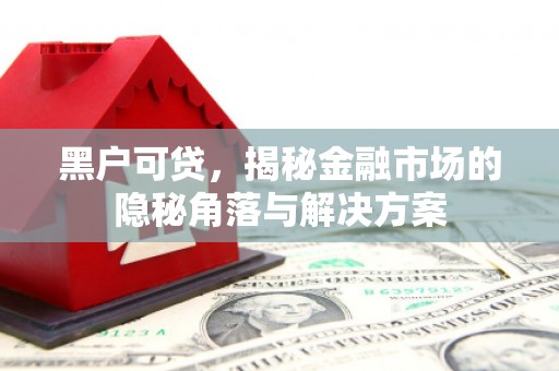 琼中黑户可贷，揭秘金融市场的隐秘角落与解决方案
