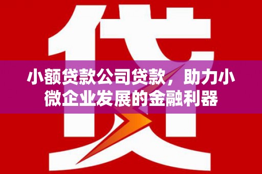 琼中小额贷款公司贷款，助力小微企业发展的金融利器