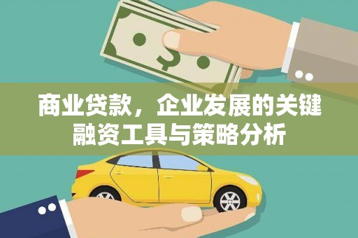 琼中商业贷款，企业发展的关键融资工具与策略分析