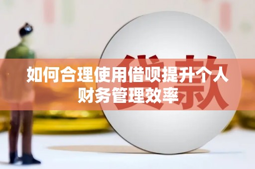 琼中如何合理使用借呗提升个人财务管理效率